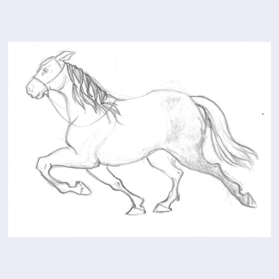 Graphite study of a horse.