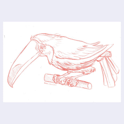 Red colored pencil illustration of a toucan.