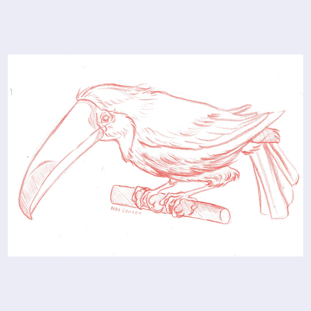 Red colored pencil illustration of a toucan.
