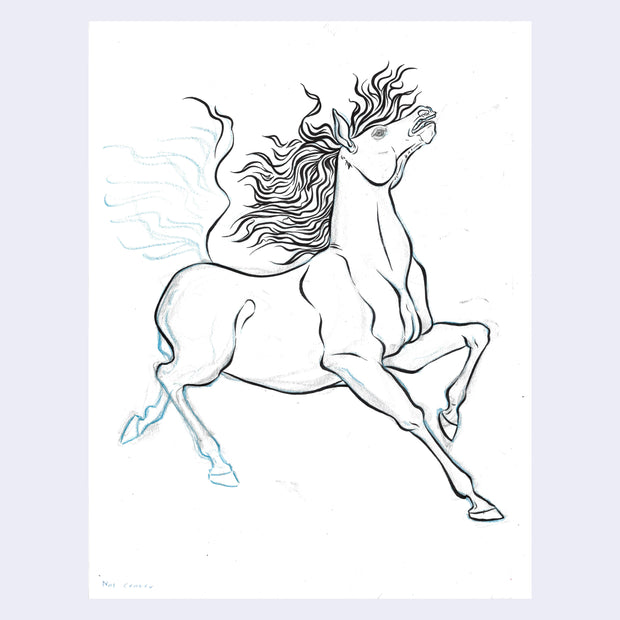 Line art illustration of a horse.