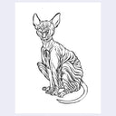 Black ink  line art illustration of a sphinx cat, yawning and sitting.
