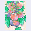 Illustration of a vine of tomatoes, one cut to miss a single slice. A small person sits on the cut tomato, holding a stick.