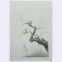 A monochrome pencil-style artwork showing three small rounded birds perched on a gnarled tree branch, with faint grasses and a hazy figure in the background on a light gray paper field.