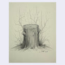 Graphite illustration of a tree stump with small, hollow eyes.