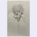 Graphite sketch of a koi fish's head.