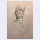 Graphite sketch of a koi fish's head.