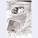 A black and white pen sketch of a cat sitting behind a chain-link fence, with a a cage below, surrounded by illustrated leaves and plants. The artwork is centered on a light gray background.