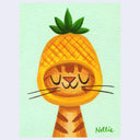 Cartoon cat wearing a pineapple hat on a light green background