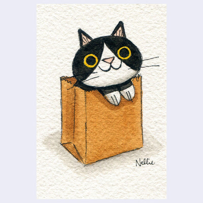 Illustration of a black and white cat peeking out from a brown paper bag on textured paper.