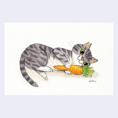 Illustration of a gray cat, laying on its side with a carrot.