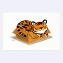 A stylized illustration of a sleeping tiger curled up inside a brown cardboard box, shown on a white background.
