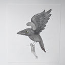 A pencil drawing of a raven with a big head and placid expression,  carrying a person by their shoulders. A single word is next to the person's face saying, "sure."