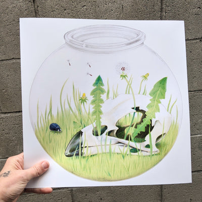 Illustration of a glass fishbowl, with grass growing inside and a bird skull, with weeds growing out of its head. A small bug stands nearby.