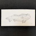 Graphite illustration of a fish drawn in the style of Hokusai.