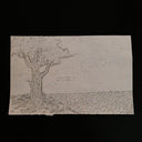 Pencil illustration of a tree in a large field with a small smiley face on it.