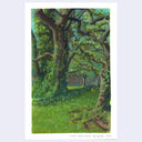 Plein air painting of a park with lush grass and many tall trees with thick trunks and wild branches. Moss and vines grow up the trunks of the trees.