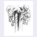 A black and white ink sketch of a tree trunk and dense foliage, centered on a white square with a light lavender border.