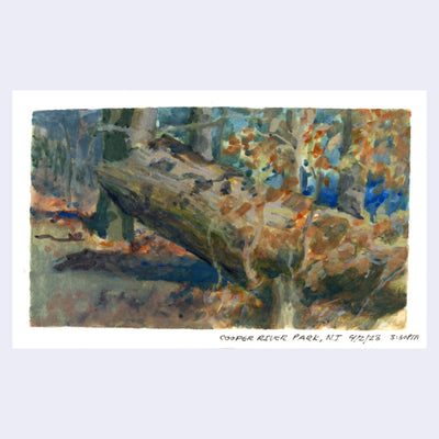 Plein air painting of a large fallen tree, with fall colored leaves growing from trees around it.