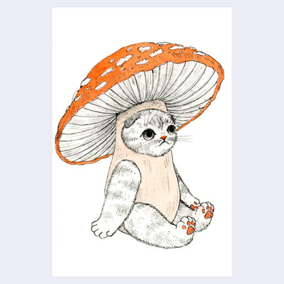 Illustration of a cat, sitting  like a person and wearing a mushroom costume, with a giant mushroom cap as a hood hat.