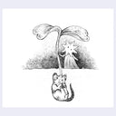 Black ink illustration of a cat underground curled up representing a seed, with a sprout growing out of its head.