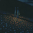 Detail photo of illustration depicting 2 simplified characters standing in a field of poppies at night. The night sky is starry and a circle of the poppies are illuminated by a held lantern.