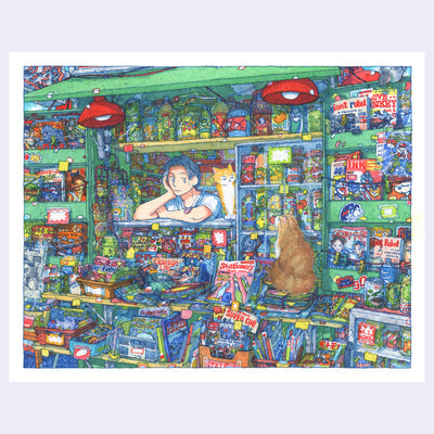 Colorful illustration of a store interior with shelves stocked with various products and a person sitting inside.