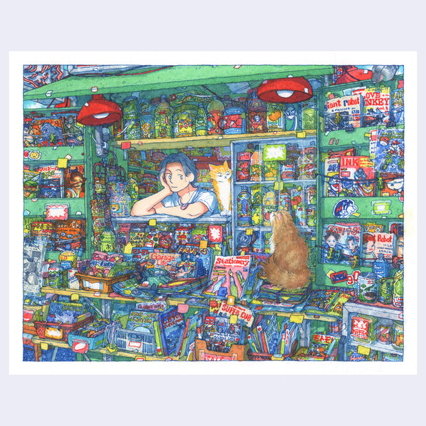 Colorful illustration of a store interior with shelves stocked with various products and a person sitting inside.