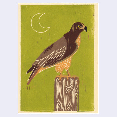 Relief print of a red tailed hawk perched on a wood post, background is olive green with a simple crescent moon in the sky.