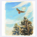 Painting of a bird flying over trees with a blue sky and sun in the background
