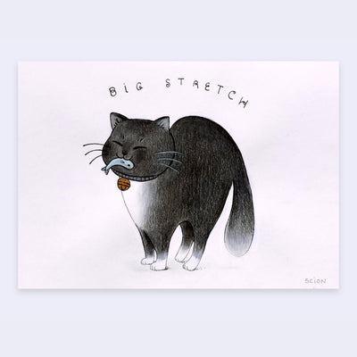 Graphite illustration of a black and white cat standing with its back arched and a smiling expression. It holds a tiny blue fish in its mouth and text over the cat reads "big stretch".