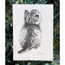 Illustration of a kitten on a white paper with 'Chunky' text, surrounded by green foliage.