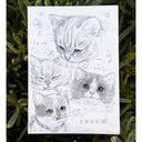 Sheet of doodles of cute fluffy kittens with text that reads "cats<3"