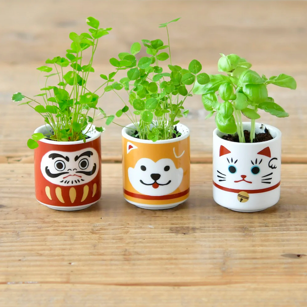 3 small sake cup sized planters, each growing herbs. Designs are: Daruma, dog and white cat.