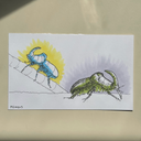 Drawing of 2 beetles, one is blue and the other is green.