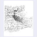 Black and white line art sketch of a stone wall and steps in a garden setting, surrounded by foliage.