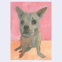 Chunky color blocked but smooth illustration of a grayish brown dog, sitting like a seal with its front paws slightly exaggerated to look like seal flippers.