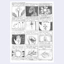 An arwork featuring a 3x4 grid of hand-drawn graphite illustrations and accompanying text, titled 'SONYA'S MONOLOGUE' at the top. The artwork uses a monochrome sketch style with floral, tree, and human hand motifs, set against a white background.