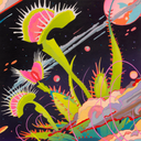 Colorful painting of a space setting with a dark purple sky and colorful planets and clouds. A venus fly trap plant with several heads pop out of the ground.