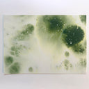 Abstract green ink on white paper in a watercoloring patterning.