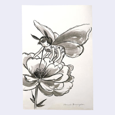 Ink illustration of a moth girl, sucking the nectar out of a flower.