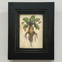 Framed artwork of a plant with roots on a textured wall