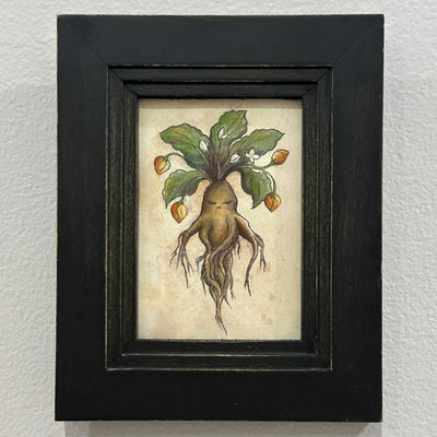 Framed artwork of a plant with roots on a textured wall