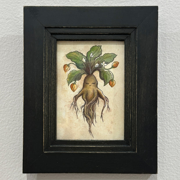 Framed artwork of a plant with roots on a textured wall