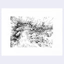 Black and white illustration of a character with a lantern, illuminating the space around her with fish and a whale.