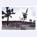 A watercolor landscape painting of desert Joshua trees in silhouette against a pale sky, with a white border around the artwork.