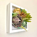 Open shadowbox featuring a 3D paper sculpture of a series of succulents.