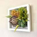 Open shadowbox featuring a 3D paper sculpture of a series of succulents.