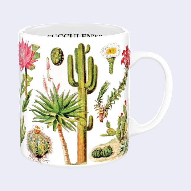 White mug with an all around wrap design of vintage illustrations of succulents and various desert themed flowers.