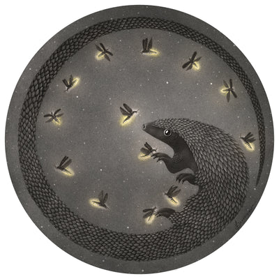 Finely rendered drawing on dark grey circular paper of a armadillo with a very long tail, which wraps around tracing the circle outline of the paper. Fireflies fly around. 