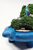 Sculpture encased in a glass tall dome with a blue clay base shaped like a turtle. Within the dome is a rocky hill landscape with moss and tiny houses and a bright blue waterfall running through it.